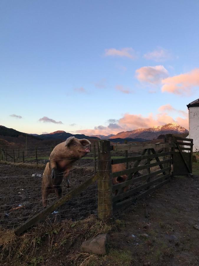 Garrison Of Inversnaid Farm With Hot Tub エクステリア 写真